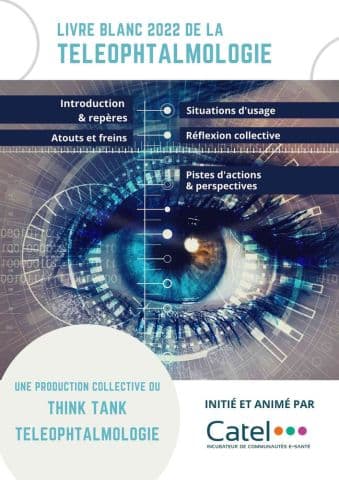 Illustration Livre blanc 2022 de la téléophtalmologie