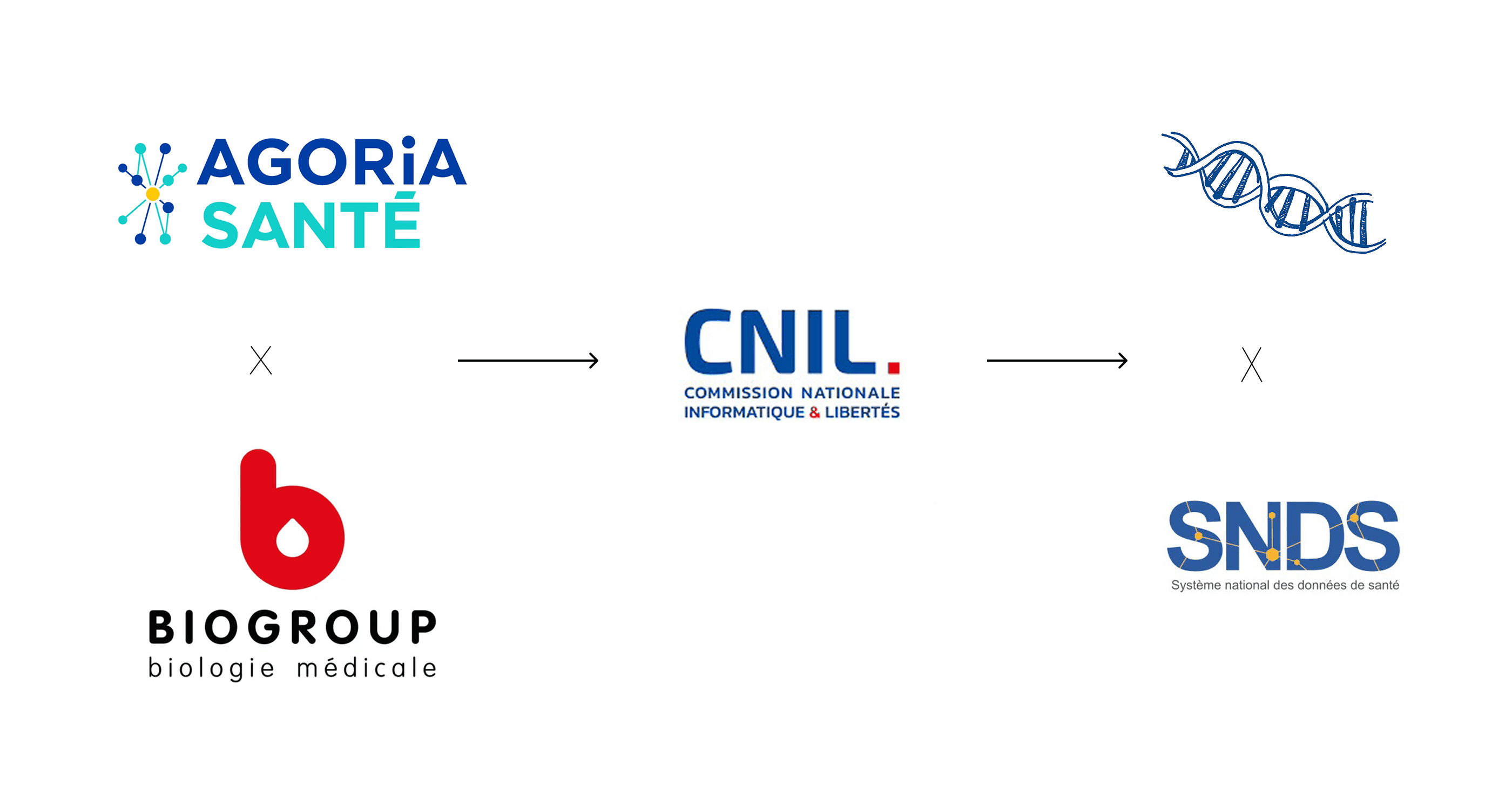 Illustration Le consortium AGORiA Santé en partenariat avec BIOGROUP obtient la 1ère autorisation de la CNIL permettant d’associer des données de biologie et du SNDS (système national des données de santé)