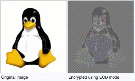 ecb_encryption