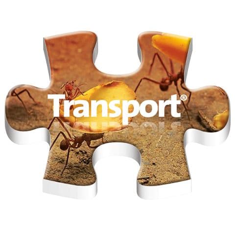 Illustration Les modules pratiques de Computer Engineering