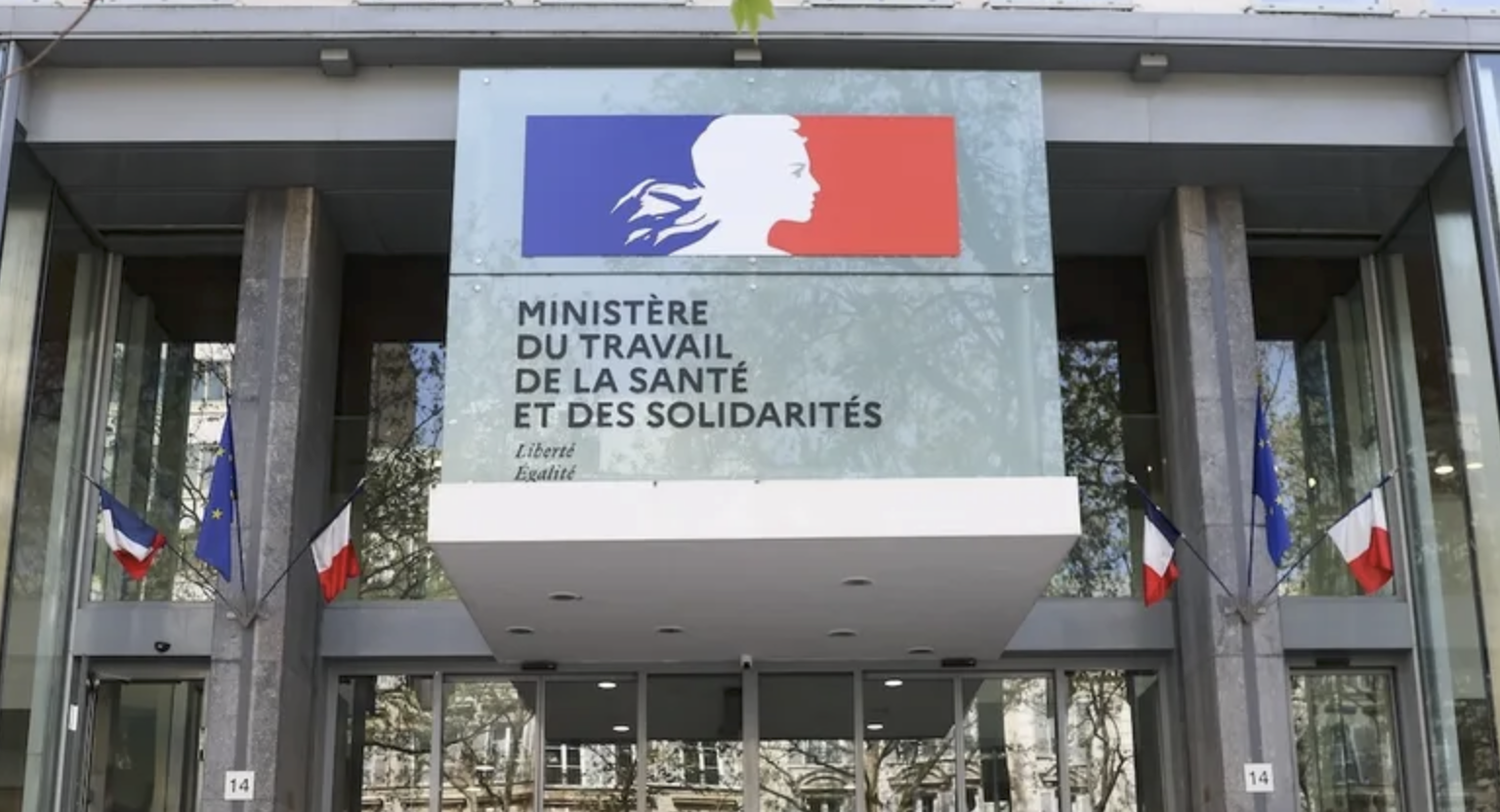 Illustration La DGRINES sera organisée en quatre sous-directions au 1er novembre, sous la direction de Lise Alter